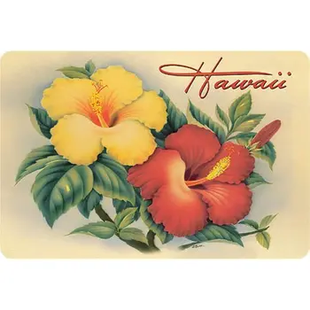 Хавайски ретро хавайски hibiscus от Eve metal sign